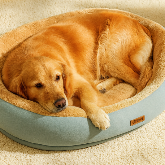 Bellos Hundebett